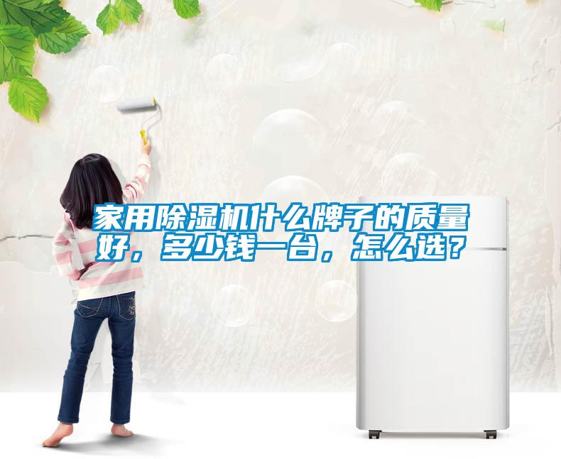家用除濕機什么牌子的質量好，多少錢一臺，怎么選？