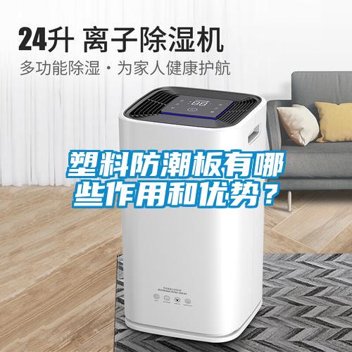 塑料防潮板有哪些作用和優(yōu)勢(shì)？