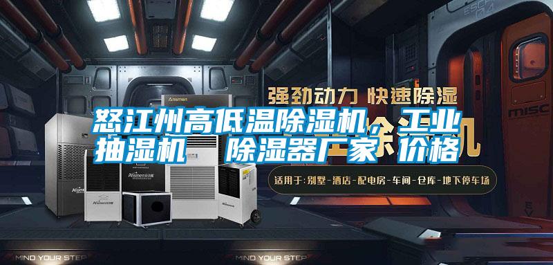 怒江州高低溫除濕機,工業抽濕機  除濕器廠家 價格