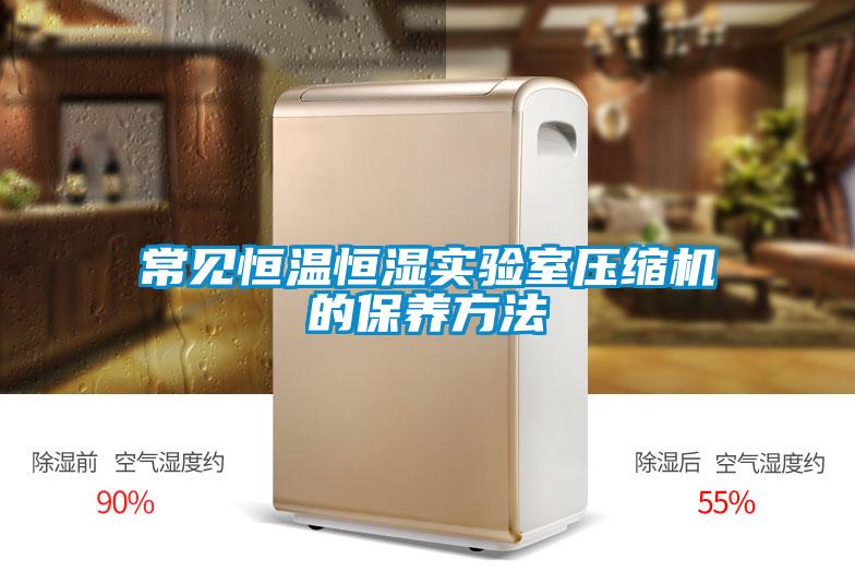 常見恒溫恒濕實(shí)驗(yàn)室壓縮機(jī)的保養(yǎng)方法