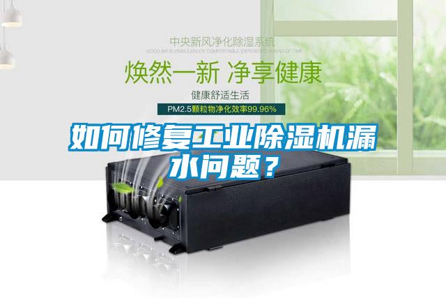 如何修復工業(yè)除濕機漏水問題？