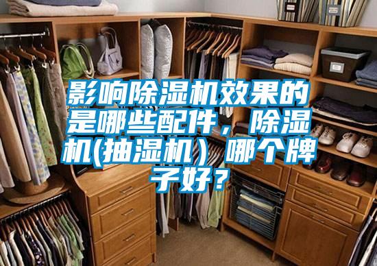 影響除濕機效果的是哪些配件，除濕機(抽濕機）哪個牌子好？