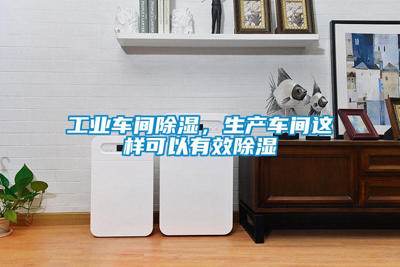 工業車間除濕，生產車間這樣可以有效除濕