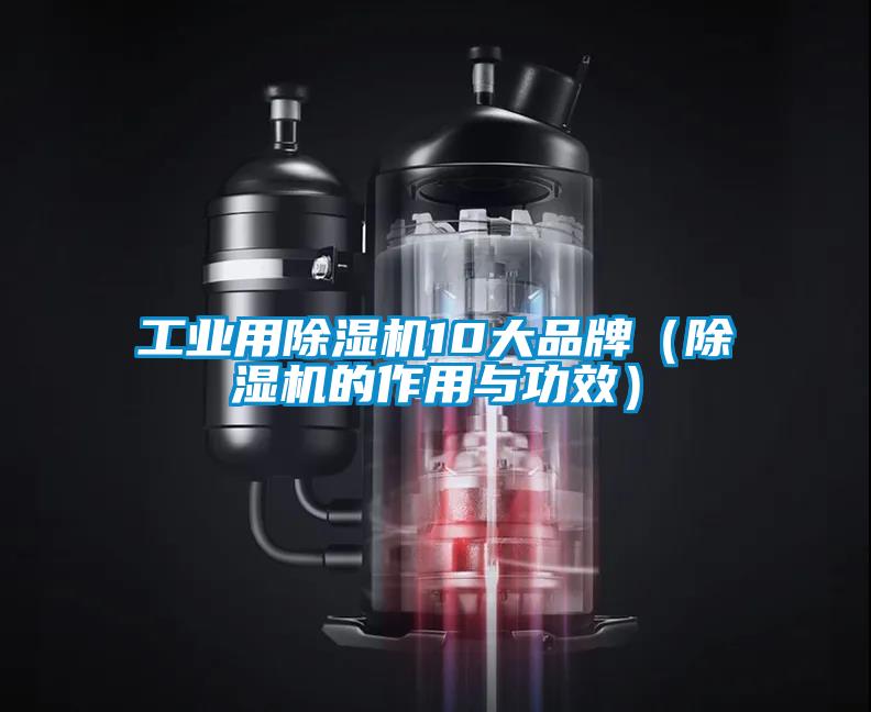 工業用除濕機10大品牌（除濕機的作用與功效）