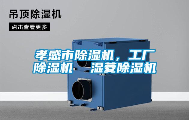 孝感市除濕機(jī)，工廠除濕機(jī)  濕菱除濕機(jī)
