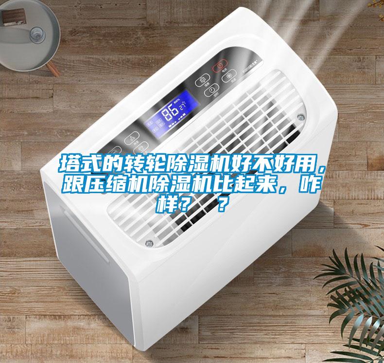 塔式的轉(zhuǎn)輪除濕機(jī)好不好用，跟壓縮機(jī)除濕機(jī)比起來，咋樣？ ？