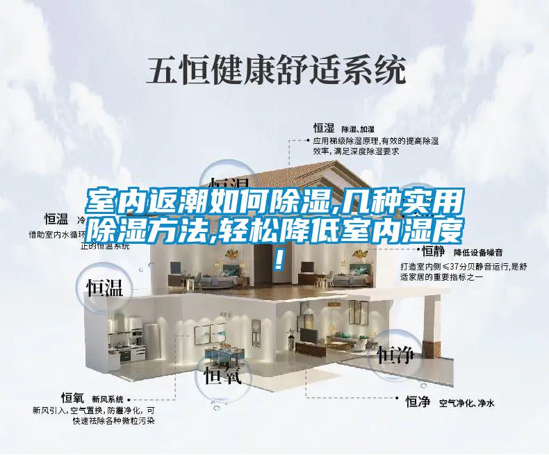 室內(nèi)返潮如何除濕,幾種實(shí)用除濕方法,輕松降低室內(nèi)濕度！