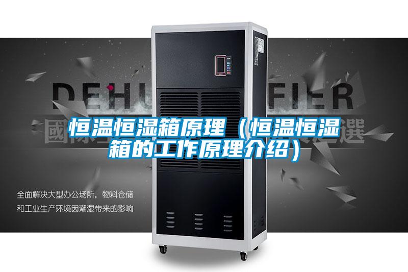 恒溫恒濕箱原理(恒溫恒濕箱的工作原理介紹)