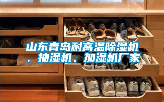 山東青島耐高溫除濕機，抽濕機、加濕機廠家