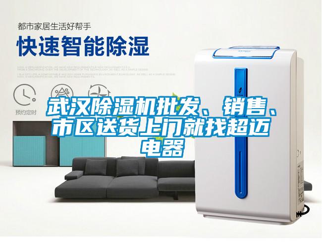 武漢除濕機(jī)批發(fā)、銷售、市區(qū)送貨上門就找超邁電器