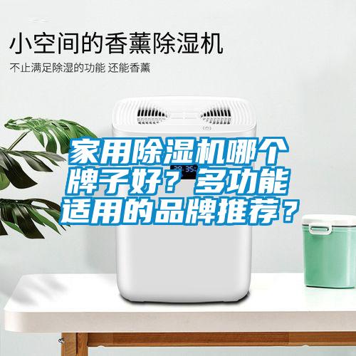 家用除濕機哪個牌子好？多功能適用的品牌推薦？