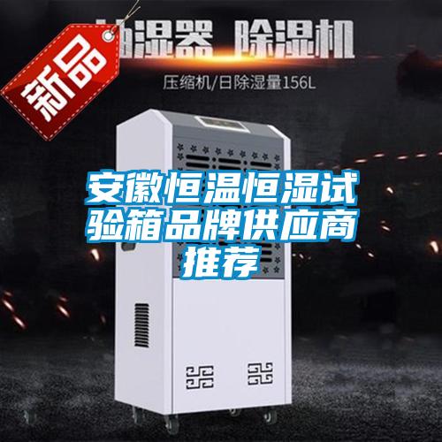 安徽恒溫恒濕試驗箱品牌供應(yīng)商推薦