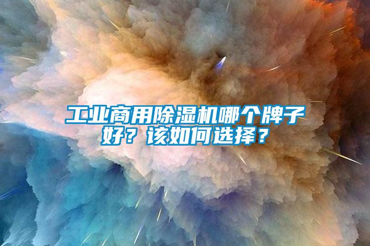 工業商用除濕機哪個牌子好?該如何選擇?