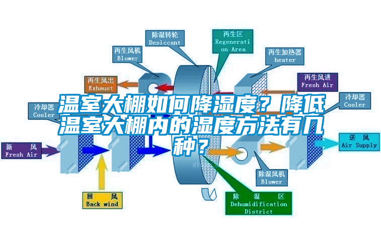 溫室大棚如何降濕度？降低溫室大棚內的濕度方法有幾種？