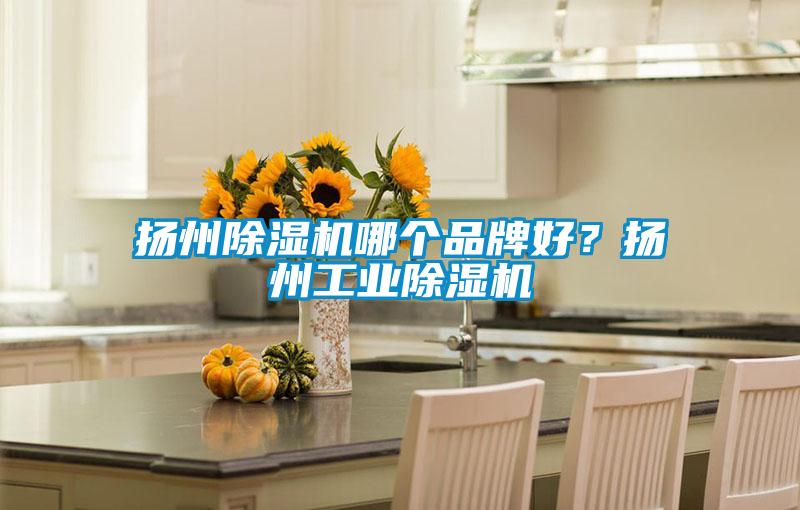 揚(yáng)州除濕機(jī)哪個(gè)品牌好?揚(yáng)州工業(yè)除濕機(jī)