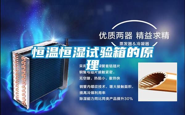 恒溫恒濕試驗箱的原理
