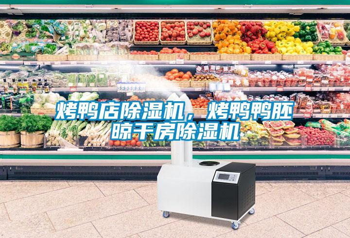 烤鴨店除濕機，烤鴨鴨胚晾干房除濕機