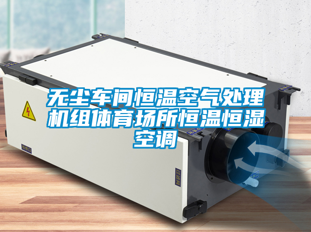 無塵車間恒溫空氣處理機組體育場所恒溫恒濕空調(diào)