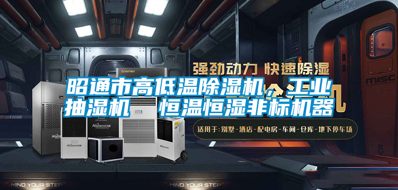 昭通市高低溫除濕機，工業抽濕機  恒溫恒濕非標機器