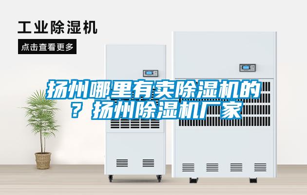 揚州哪里有賣除濕機的？揚州除濕機廠家