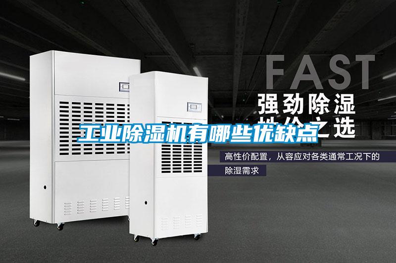 工業(yè)除濕機(jī)有哪些優(yōu)缺點(diǎn)