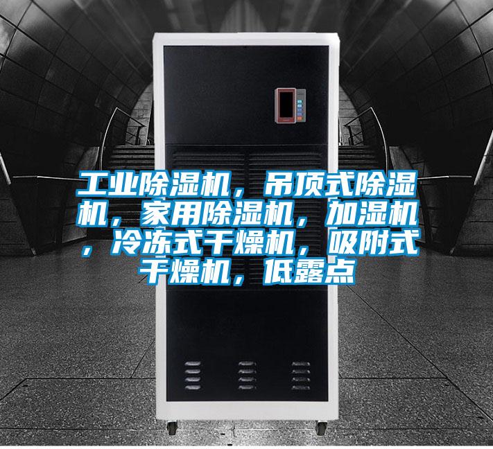 工業除濕機，吊頂式除濕機，家用除濕機，加濕機，冷凍式干燥機，吸附式干燥機，低露點