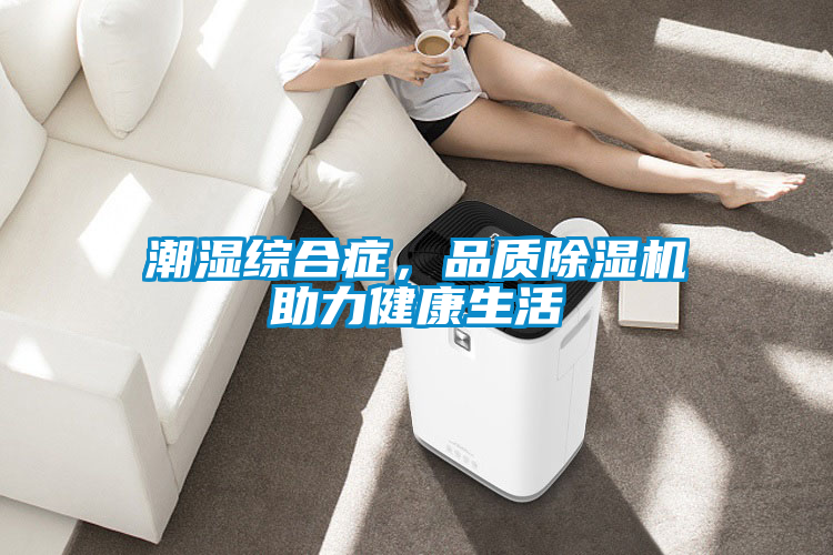 潮濕綜合癥，品質(zhì)除濕機(jī)助力健康生活