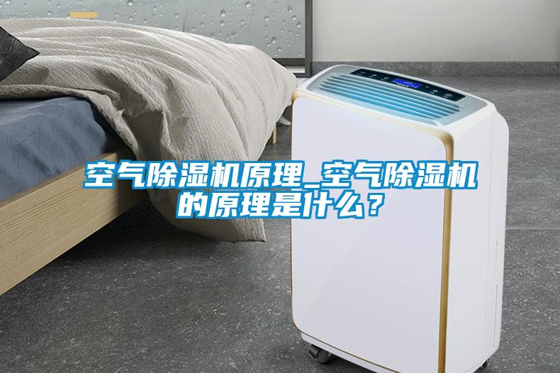 空氣除濕機原理_空氣除濕機的原理是什么？