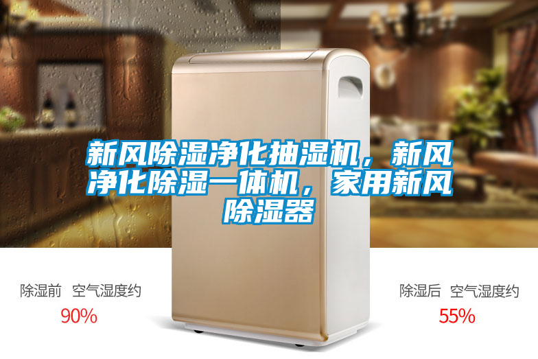 新風除濕凈化抽濕機,新風凈化除濕一體機,家用新風除濕器