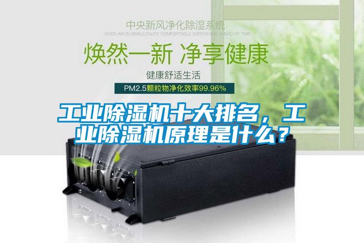 工業(yè)除濕機十大排名，工業(yè)除濕機原理是什么？