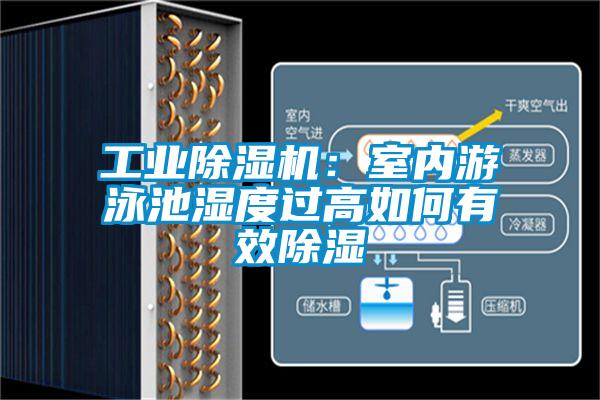 工業(yè)除濕機：室內(nèi)游泳池濕度過高如何有效除濕