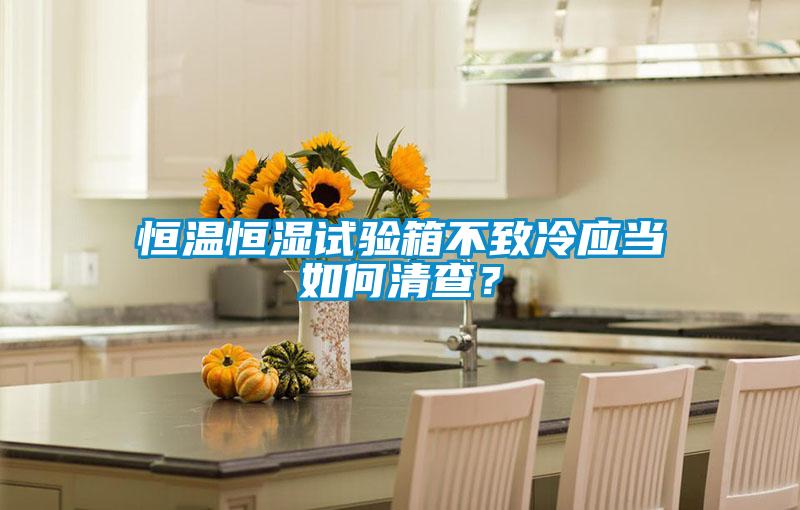 恒溫恒濕試驗箱不致冷應當如何清查?