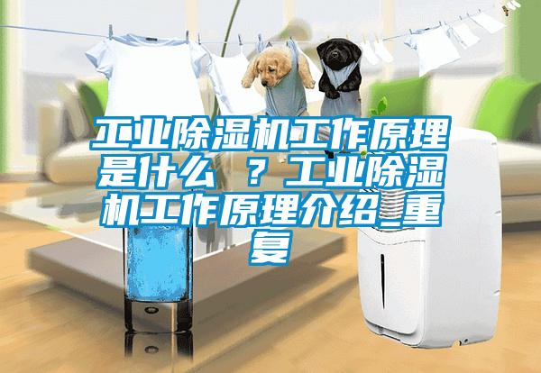 工業(yè)除濕機(jī)工作原理是什么 ?工業(yè)除濕機(jī)工作原理介紹_重復(fù)