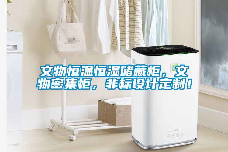 文物恒溫恒濕儲藏柜，文物密集柜，非標設計定制！