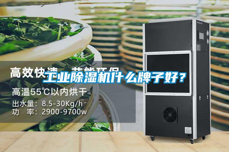 工業(yè)除濕機(jī)什么牌子好？