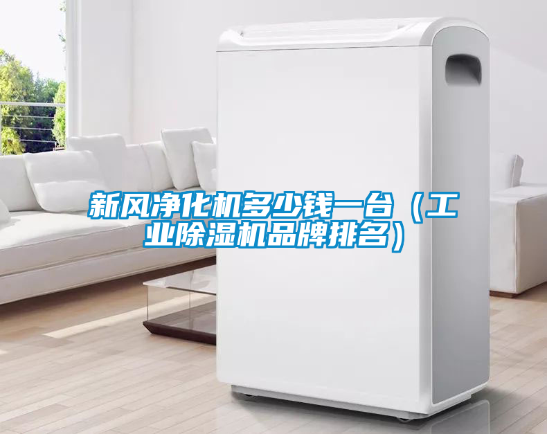 新風(fēng)凈化機多少錢一臺(工業(yè)除濕機品牌排名)