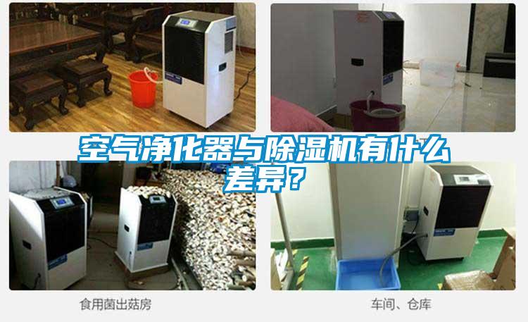 空氣凈化器與除濕機有什么差異？