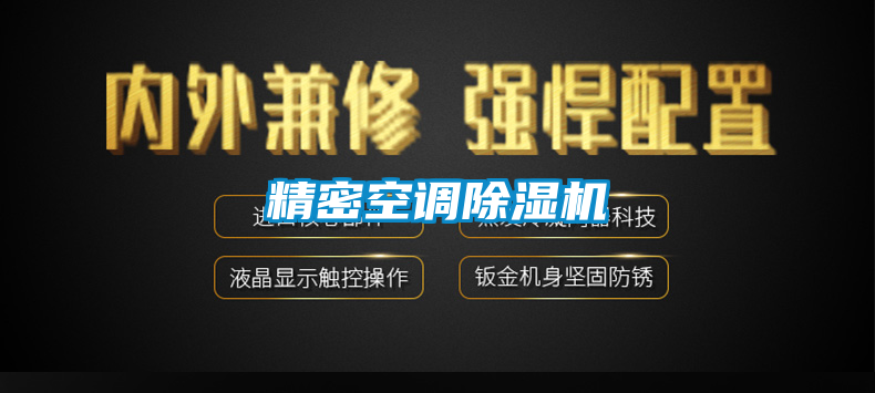 精密空調(diào)除濕機