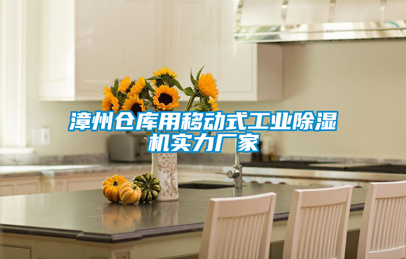 漳州倉(cāng)庫用移動(dòng)式工業(yè)除濕機(jī)實(shí)力廠家