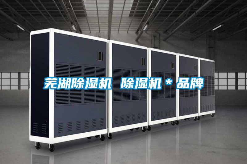 蕪湖除濕機 除濕機＊品牌