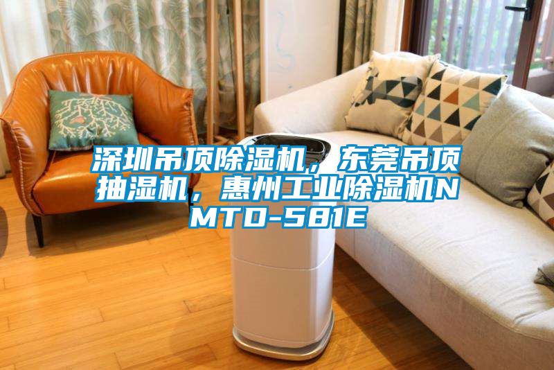 深圳吊頂除濕機，東莞吊頂抽濕機，惠州工業除濕機NMTD-581E