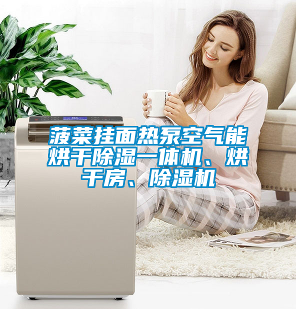 菠菜掛面熱泵空氣能烘干除濕一體機、烘干房、除濕機