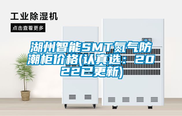 湖州智能SMT氮?dú)夥莱惫駜r(jià)格(認(rèn)真選：2022已更新)