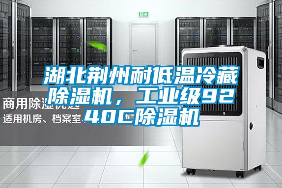 湖北荊州耐低溫冷藏除濕機(jī),工業(yè)級9240C除濕機(jī)