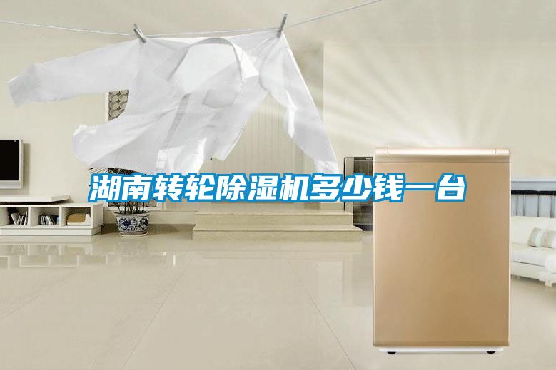 湖南轉(zhuǎn)輪除濕機(jī)多少錢一臺(tái)