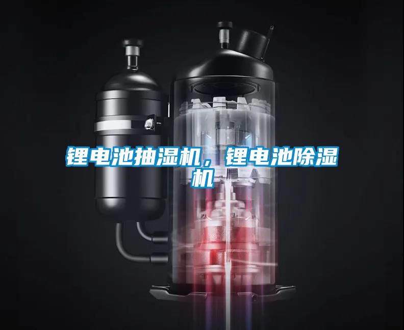 鋰電池抽濕機(jī)，鋰電池除濕機(jī)