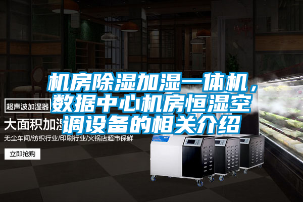 機房除濕加濕一體機，數(shù)據(jù)中心機房恒濕空調(diào)設備的相關介紹