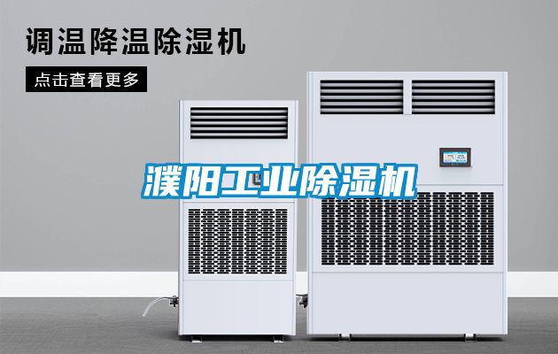 濮陽(yáng)工業(yè)除濕機(jī)
