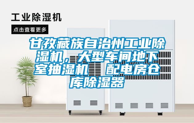 甘孜藏族自治州工業(yè)除濕機，大型車間地下室抽濕機  配電房倉庫除濕器