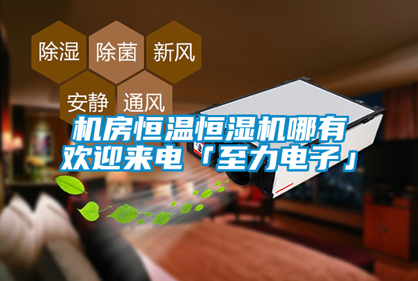 機(jī)房恒溫恒濕機(jī)哪有歡迎來電「至力電子」